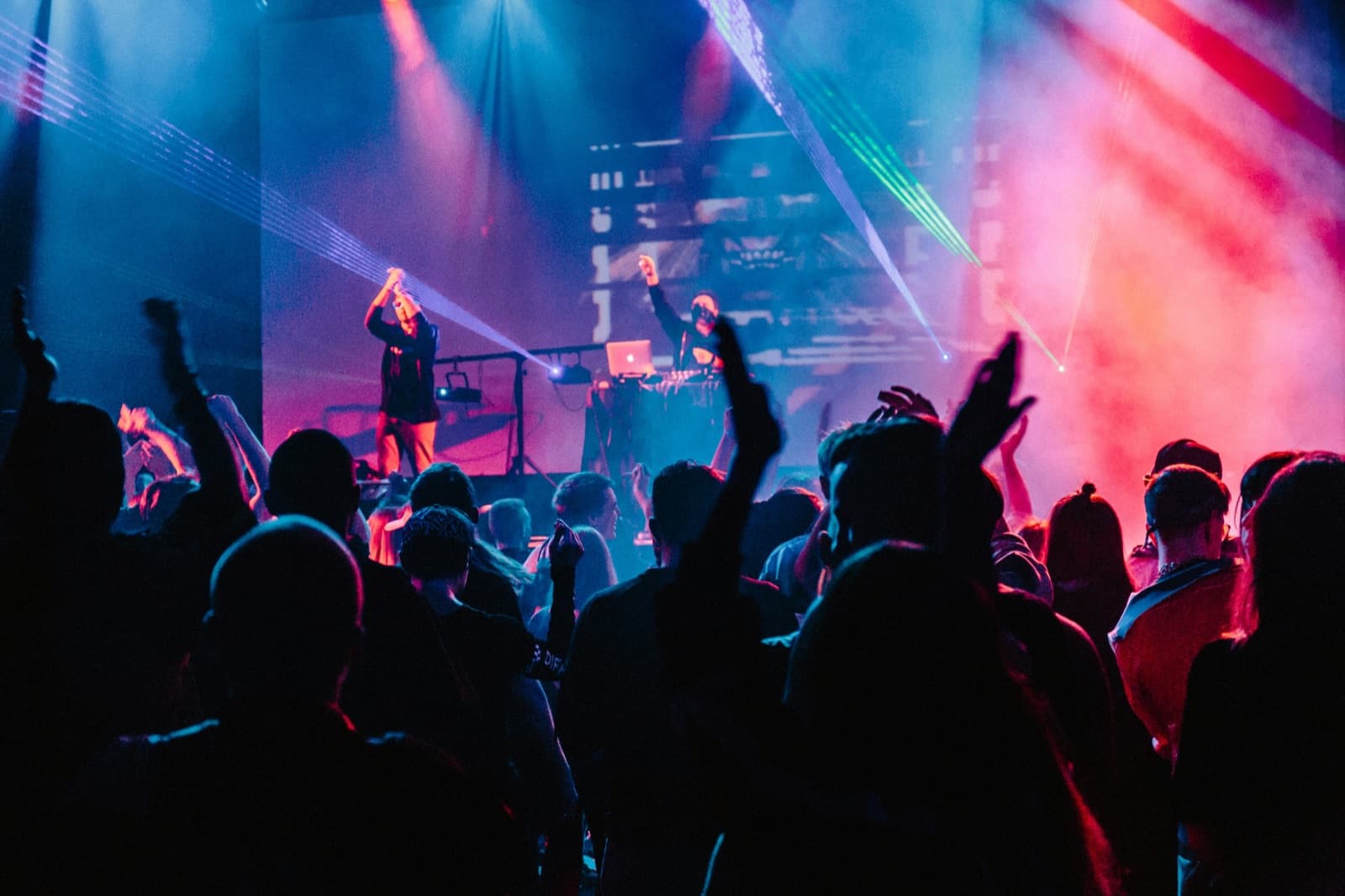 Concert crowd